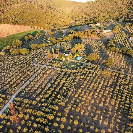 גאבוראנו Agriturismo Podere Valdo מראה חיצוני תמונה