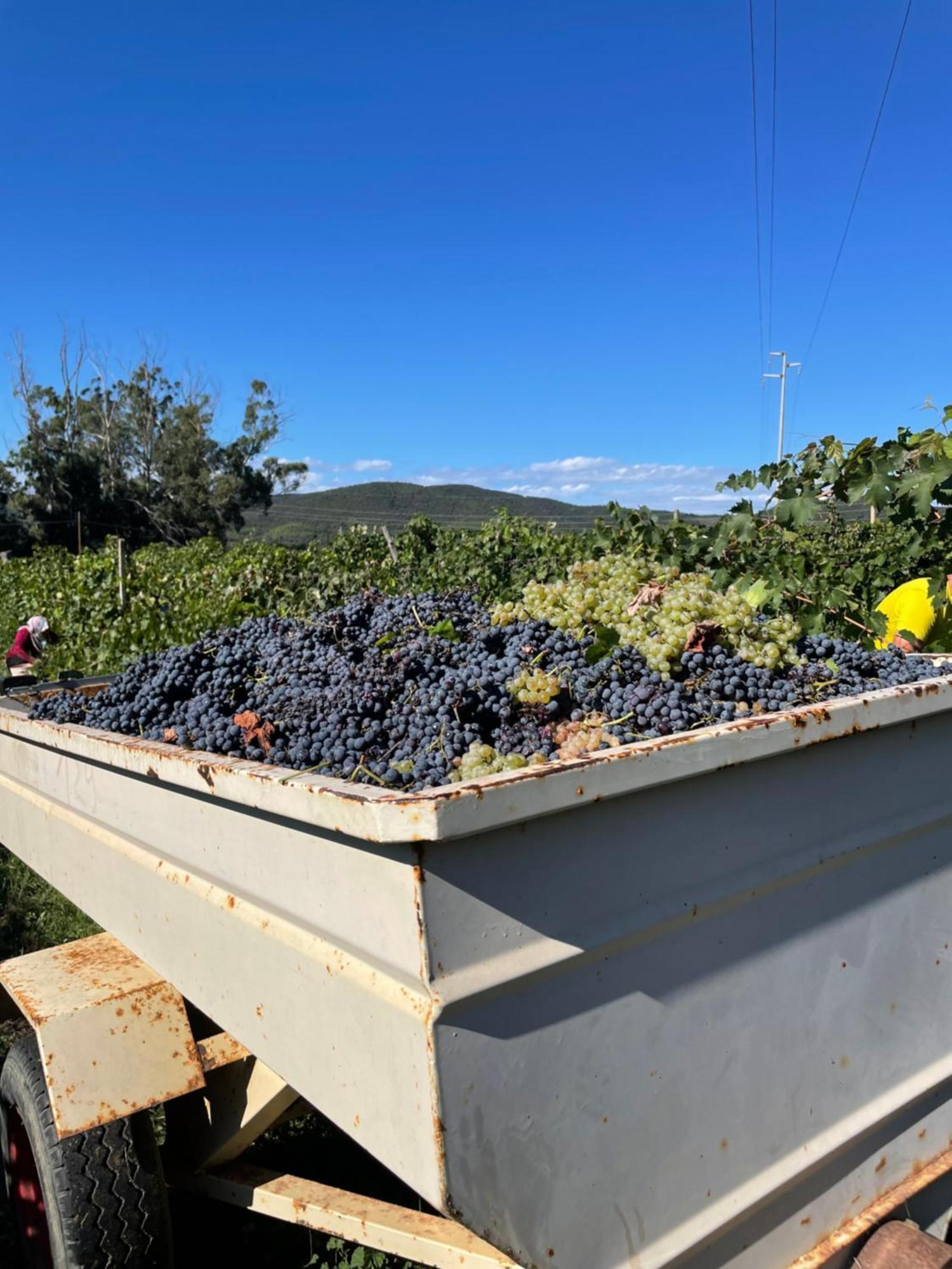 גאבוראנו Agriturismo Podere Valdo מראה חיצוני תמונה