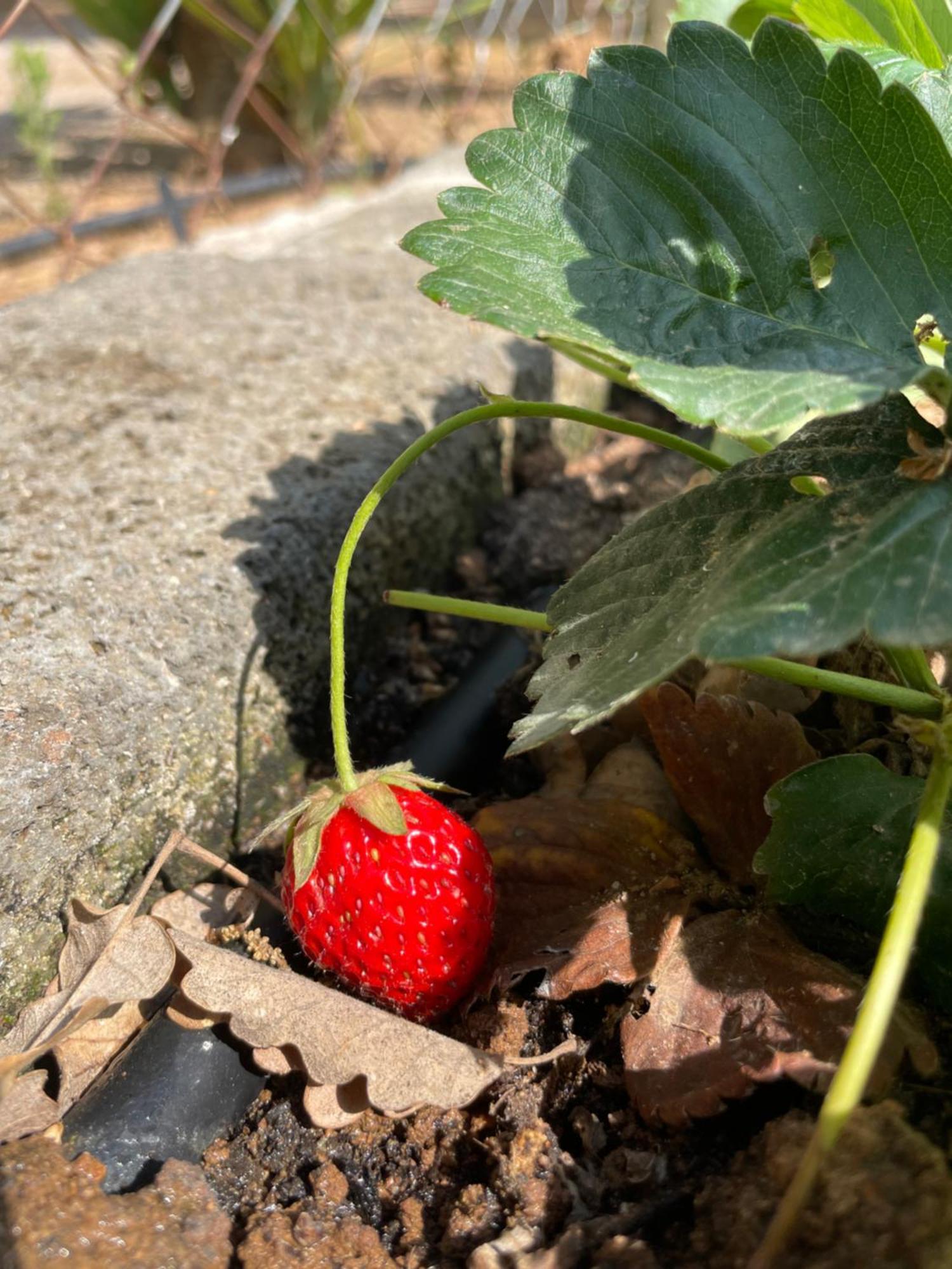 גאבוראנו Agriturismo Podere Valdo מראה חיצוני תמונה