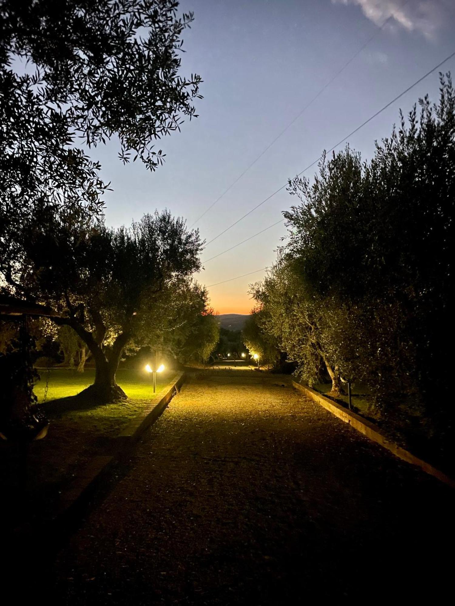 גאבוראנו Agriturismo Podere Valdo מראה חיצוני תמונה