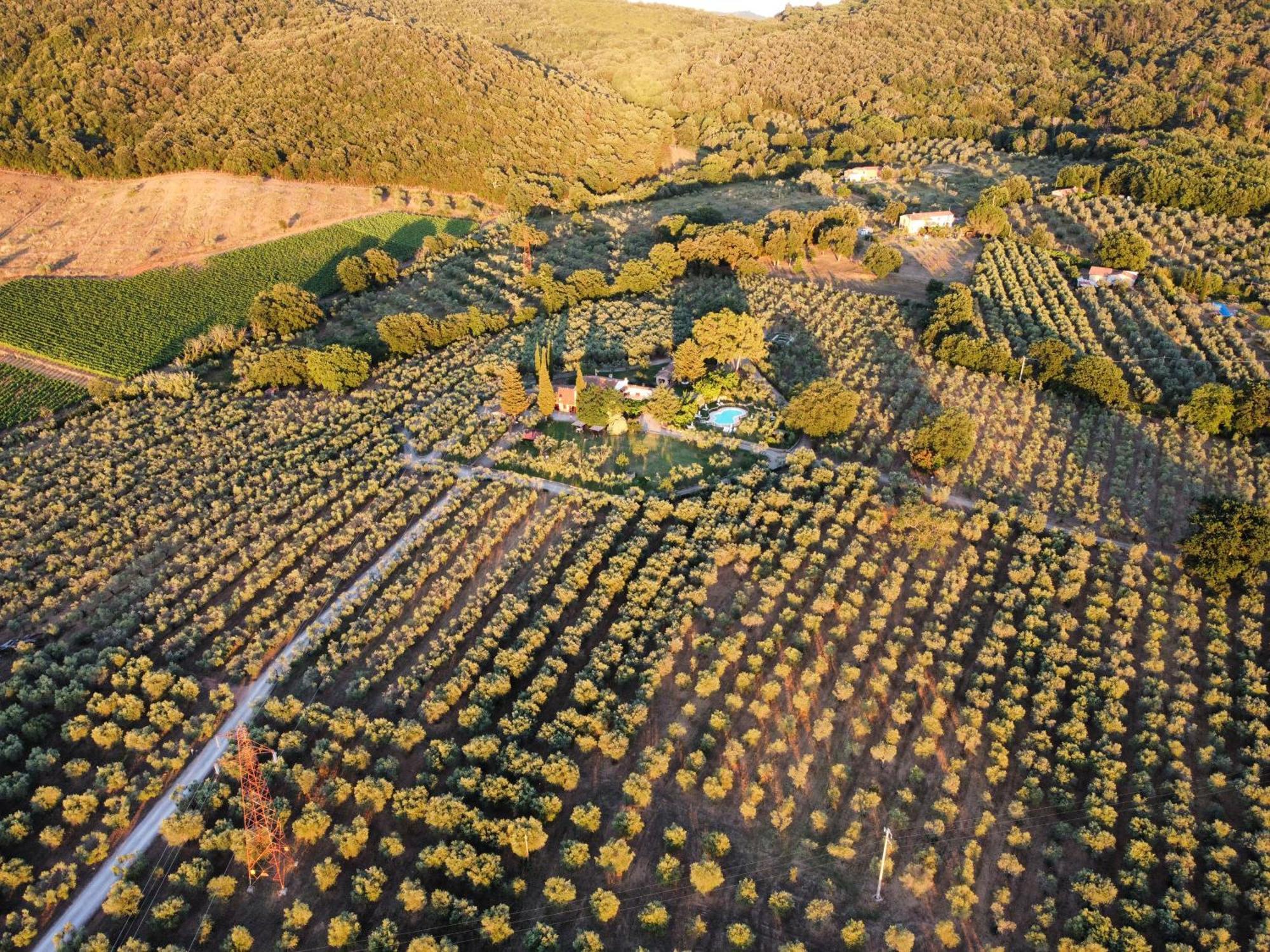 גאבוראנו Agriturismo Podere Valdo מראה חיצוני תמונה