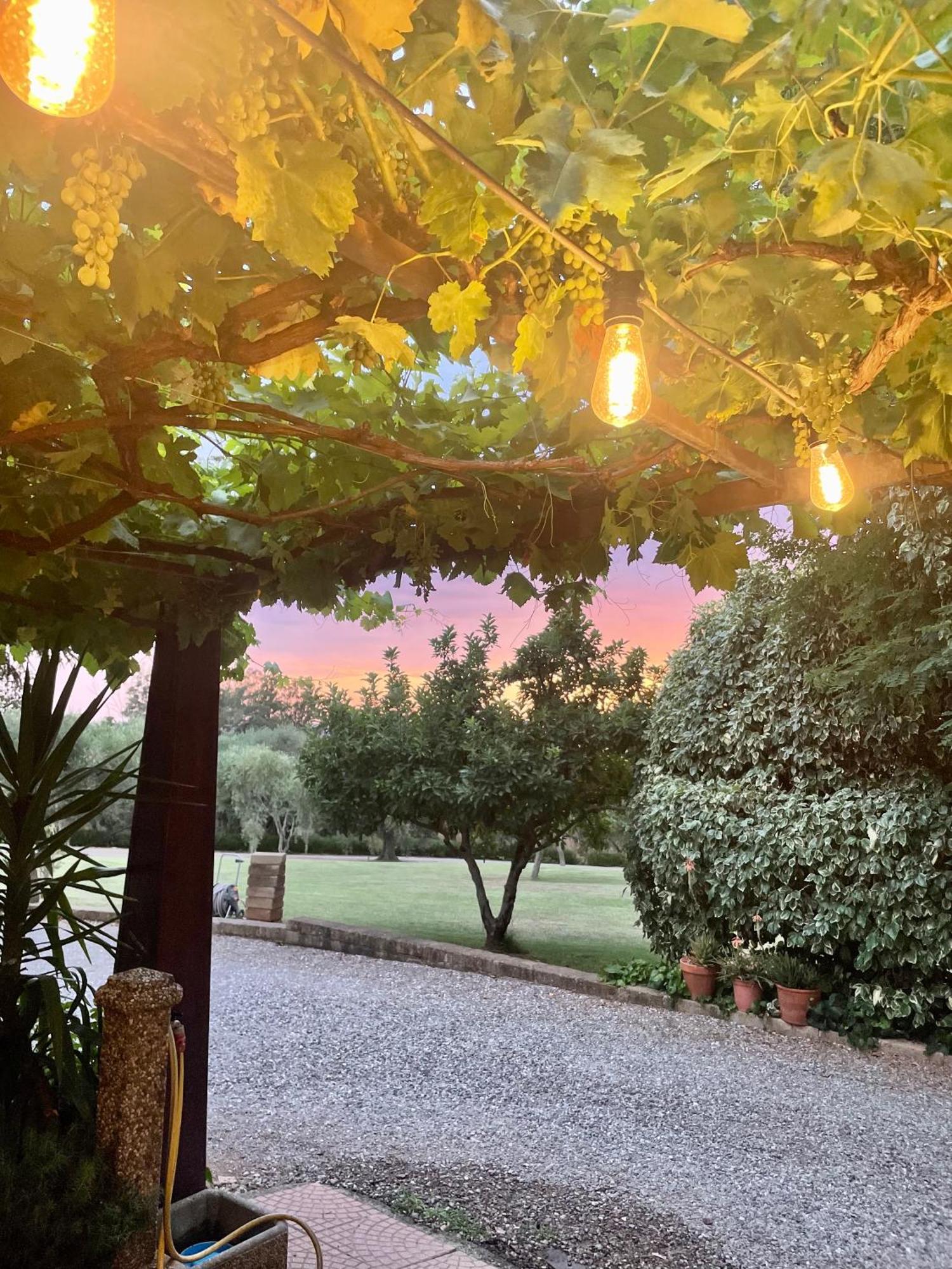 גאבוראנו Agriturismo Podere Valdo מראה חיצוני תמונה