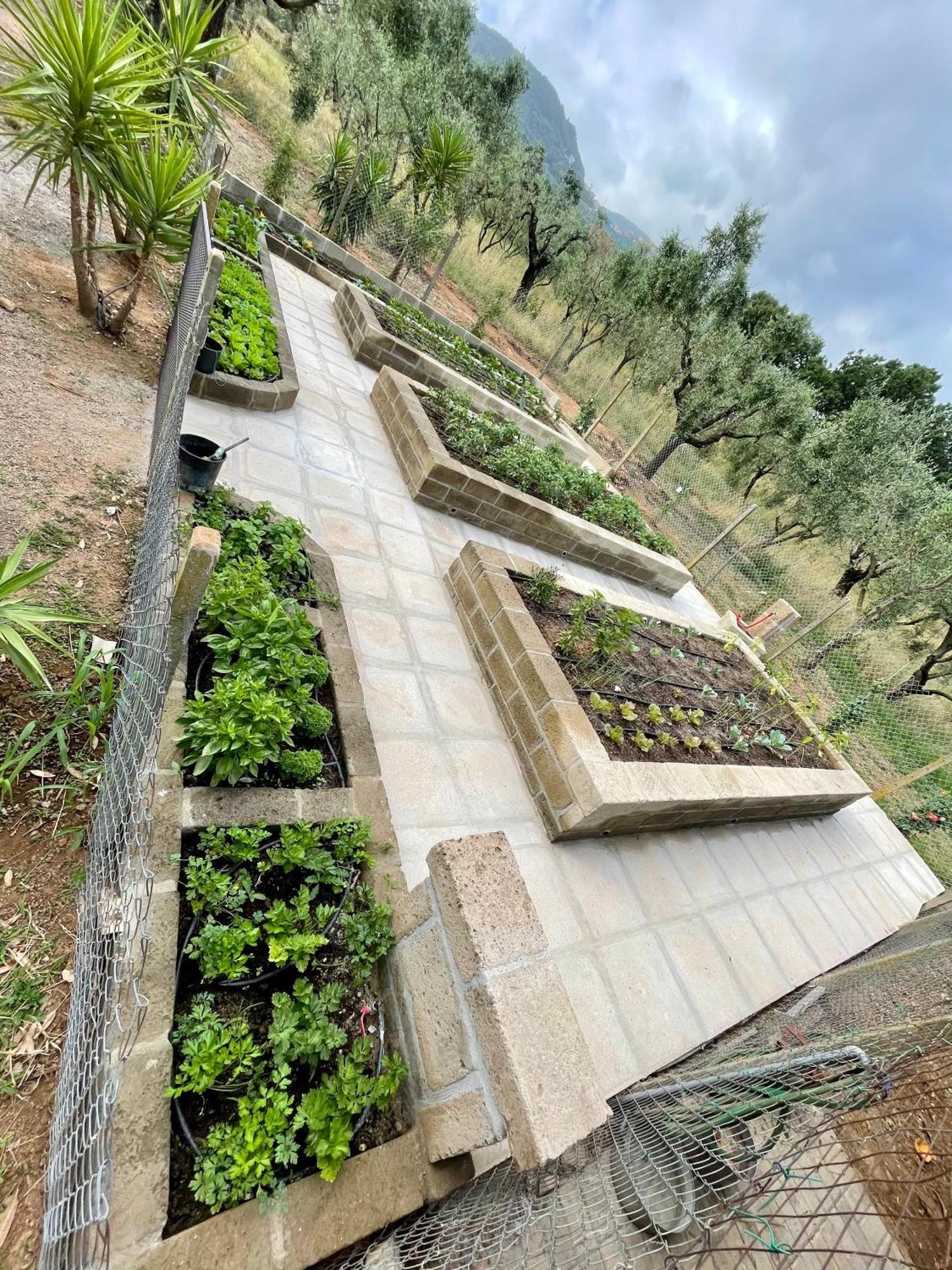 גאבוראנו Agriturismo Podere Valdo מראה חיצוני תמונה