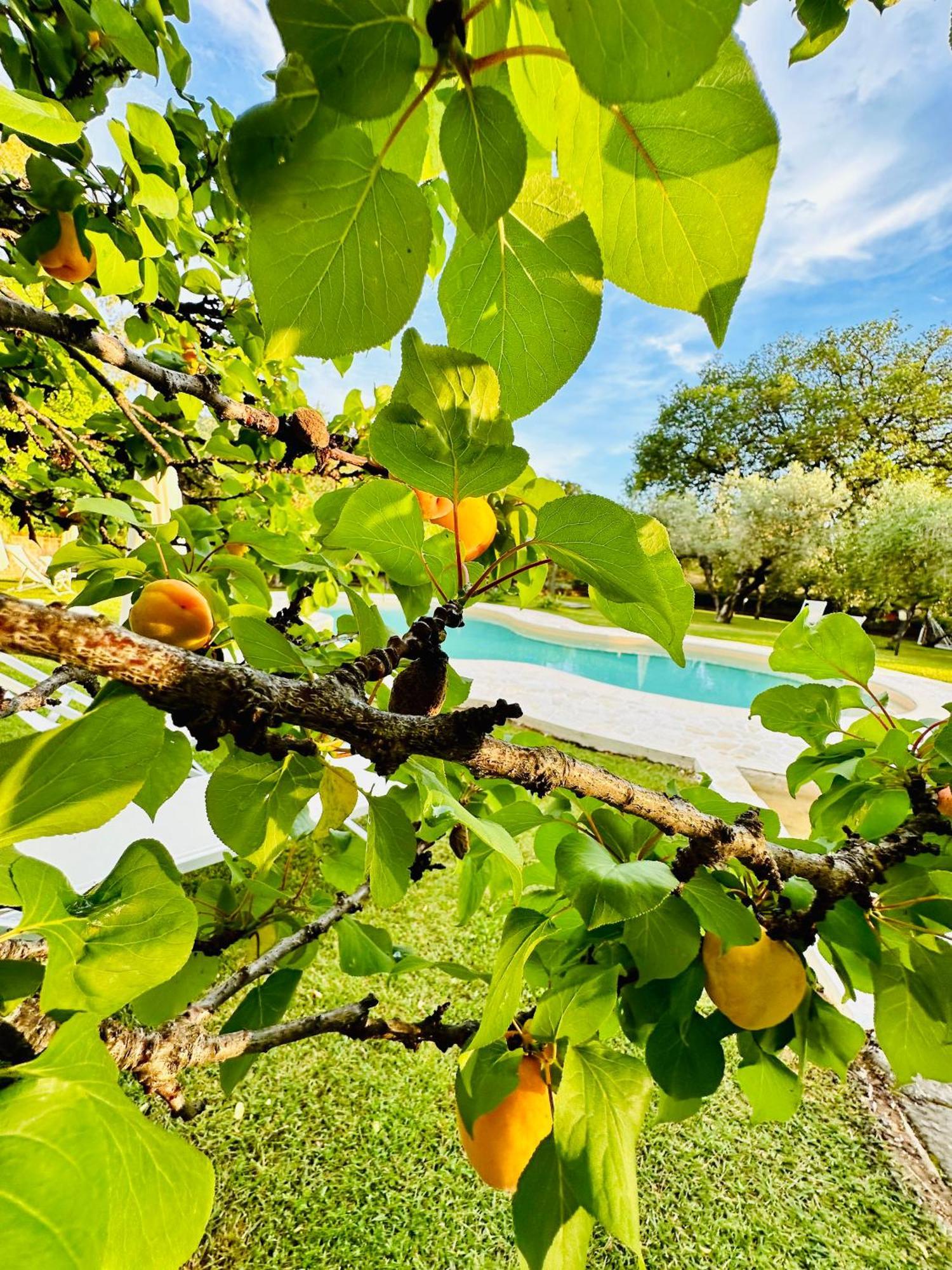 גאבוראנו Agriturismo Podere Valdo מראה חיצוני תמונה