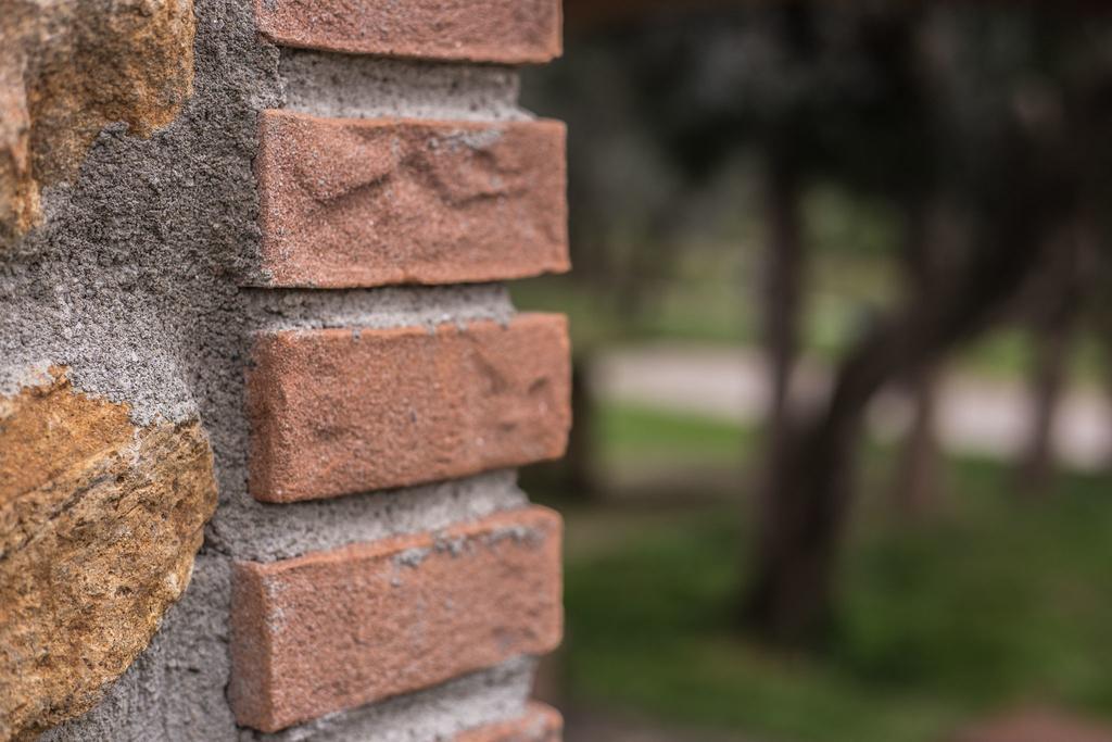 גאבוראנו Agriturismo Podere Valdo מראה חיצוני תמונה